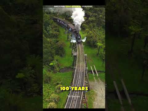 Most Amazing Train in the world । #shorts