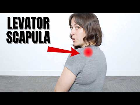 The Ultimate Levator Scapulae Pain Relief Exercise