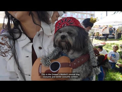 VIDEO STORY: Downtown Growers Market hosts furry fashion show with Dogboo costume contest