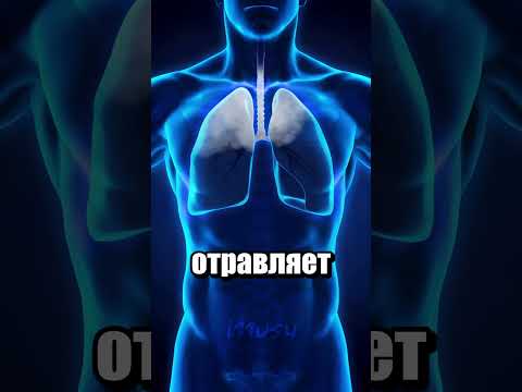 Отличная была идея поселиться возле озера на вулкане
