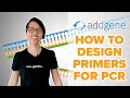 PCR Primer Design Concepts