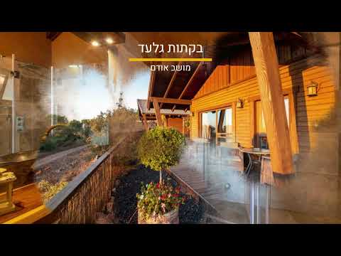 לחצו לצפייה בסרטוון וידאו על המקום