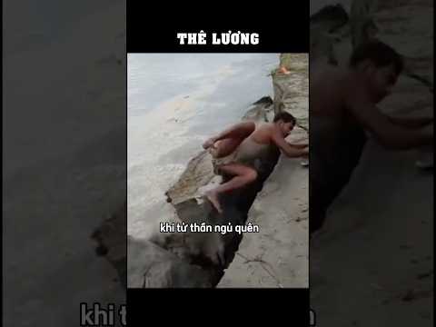 Khi tử thần ngủ quên 💀 #theluong