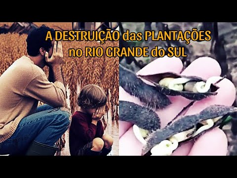 TUDO DESTRUÍDO no RIO GRANDE DO SUL