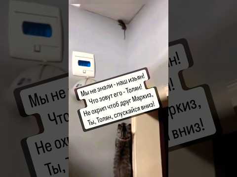 📘пишу стихи🖋️ Skopins
