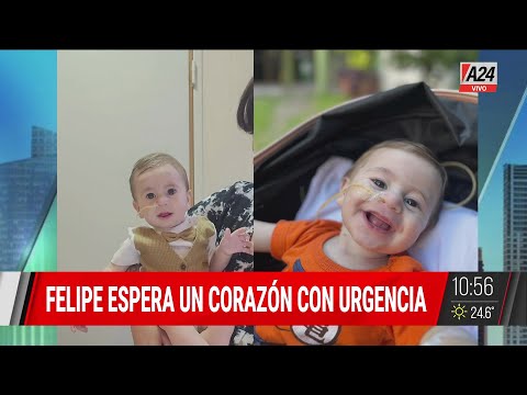 🔴URGENTE 🔴 FELIPE ESPERA UN CORAZÓN