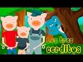 The Three Little Pigs Questions