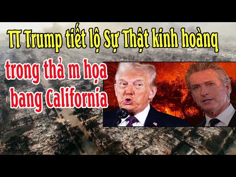 TT Trump tiết lộ Sự Thật kinh hoànq trong thả m họa tiểu bang California