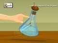 Exploring the Law of Conservation of Mass through Experiments
