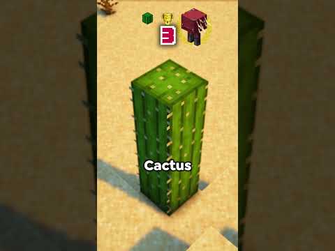 Stacked Striders vs Tall Cactus, which is RARER? #didyouknow #minecraftanimation