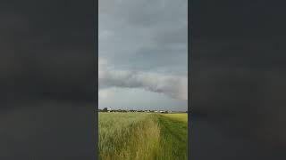 Meso bei Dornstadt, Nähe Ulm, 2. Juni 2026