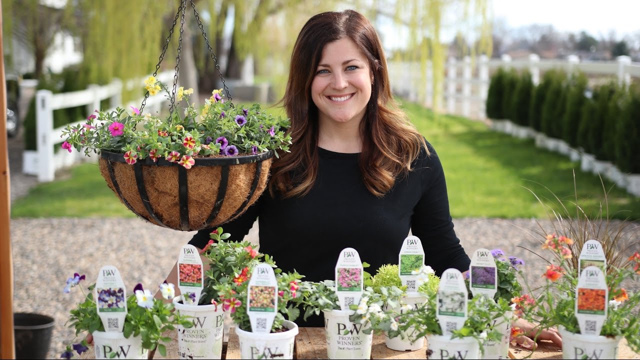Planting up Spring Color