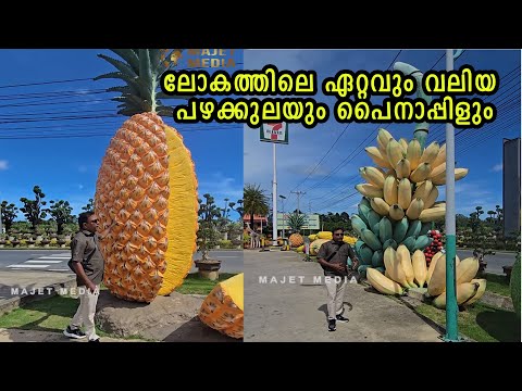 ലോകത്തെ ഏറ്റവും വലിയ പഴക്കുല