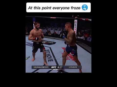 At this point everyone froze🥶#khabib#nurmagamedov#vs#dastin#poria⚔️