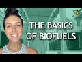 Biofuels and Biogas Concepts