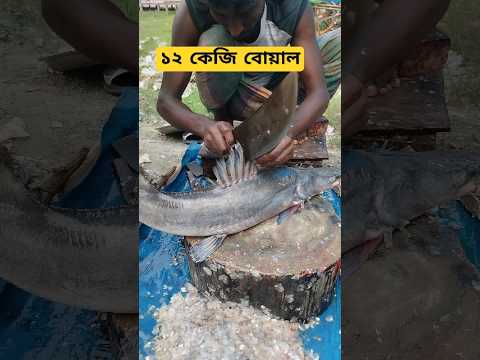 বিশাল বোয়াল কাটা❤️🔥 #youtube #shorts #viralshorts #fishcutting #kasimedu #pangasfish #katla #fish