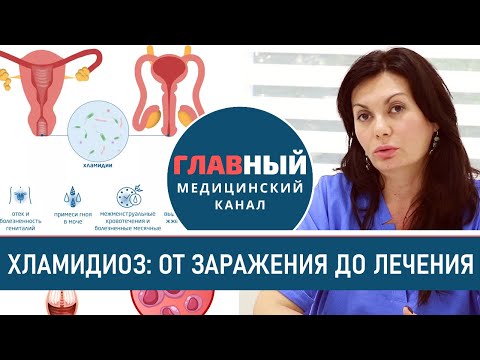 Хламидиоз: как передается, симптомы и лечение хламидиоза у женщин и мужчин