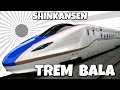Understanding Japanese Train Tickets
