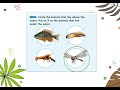 Water Habitats and Tide Pools