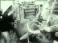 Vietnam War Impact and Involvement
