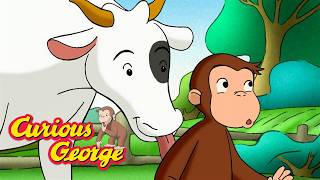 Operation: Keep Out Cows! 🐵 Full Episodes | Curious George