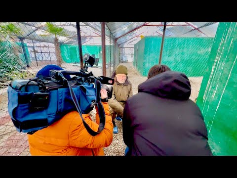 Телеканал ТВЦ после Анапы и Керчи приехал снимать спасенных птиц в Тайган!