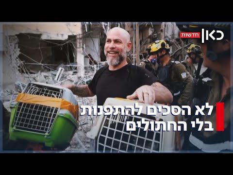 "תקפנו באיראן - אבל מה עם האנשים פה?": 15 אלף ישראלים נותרו בלי בית