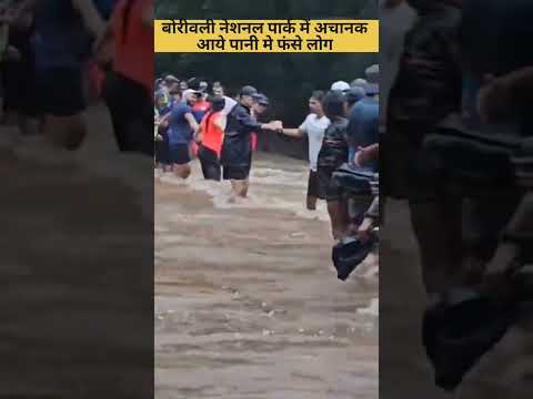 बोरीवली नेशनल पार्क में अचानक आए पानी में फंसे लोग || #short #shorts