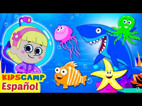 Aprende Animales Marinos | Aprendizaje Divertido | Campo Infantil