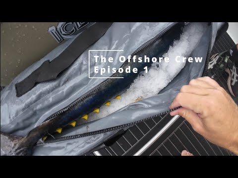 The Offshore Crew - Episode 1 - Yellowfin fever hits New Zealand. Our first fish in the new boat