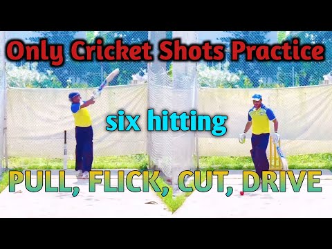 Only Shots Practice PULL, FLICK, CUT, DRIVE,SIX HITTING #cricket #cricketpractice #batting #practice