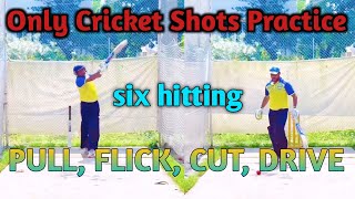 Only Shots Practice PULL, FLICK, CUT, DRIVE,SIX HITTING #cricket #cricketpractice #batting #practice