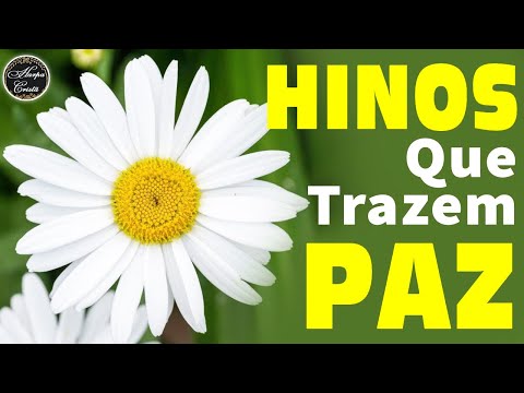 Louvores da Harpa Cristã - Hinos Que Trazem Paz no Lar - Hinos Evangélicos 2023