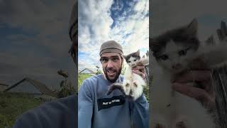 Подкинули котят! Это только начало истории, вторая часть еще интересней