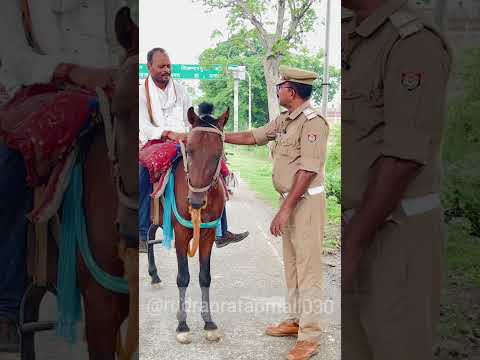 कुछ पल घुड़सवार के साथ।।#trafficawarenes #roadsafety #horse #horserider #shorts