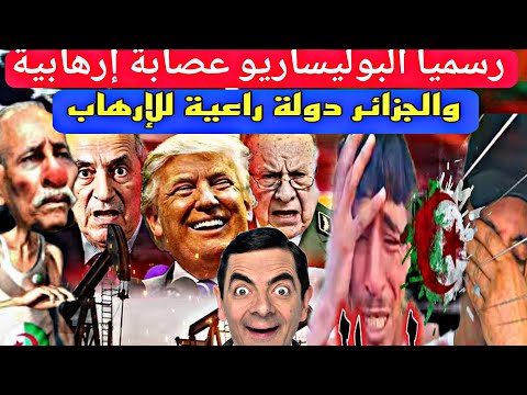 خطوة أمريكية تاريخية ضد ميليشيا البوليساريو وداعمتها الجزائر ، لم يكذب من قال الجزاىر بعد إيـران