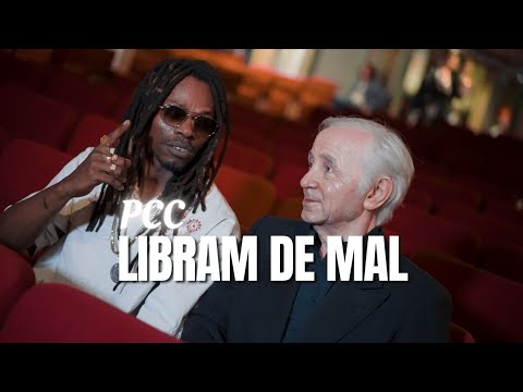 PCC- Libram de mal