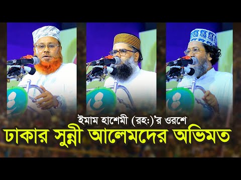 ইমাম হাশেমী (রহ:) এর ওরশে ঢাকার সুন্নী আলেমদের অভিমত Deepti TV