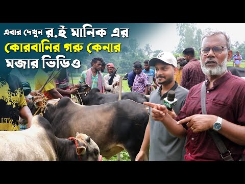 1189- র.ই মানিক এর কোরবানীর গরু কেনার মজার ভিডিও, Qurbani Cattle Price 2025.Chitrapuri Krishichitra