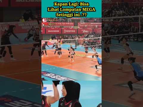 Kapan Lagi Bisa Lihat Lompatan MEGA Setinggi ini..??