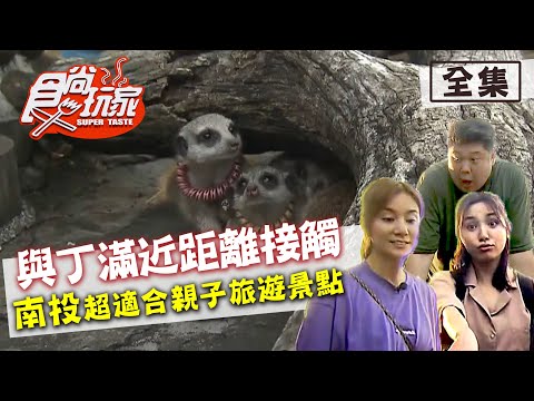 食尚玩家【南投】與”丁滿”近距離接觸 超適合親子旅遊 20200721 (完整版) 莎莎.哈孝遠.Dora