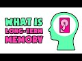 Understanding Long-Term Memory