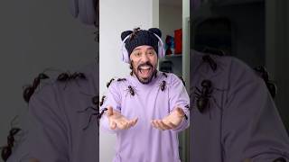 La Hormiga Gigante!