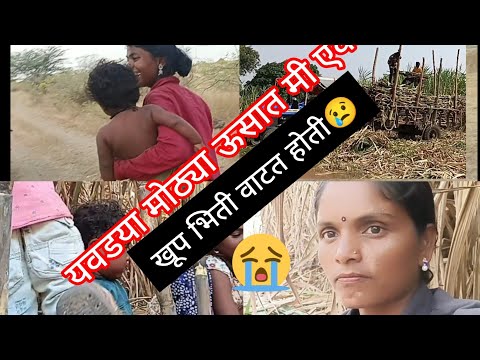 येवड्या मोठ्या ऊसात मी एकटीच🥺 बाकीचे गेल सर्व जण 😢