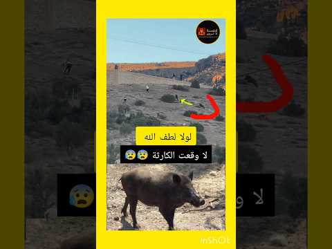 خطير🛑خنزير بري يهاجم الساكنة لطفك يالله😰🤲 #viral #اكسبلور #genz #أخبارالمغرب #شورت #ترند #خنزير #خطر