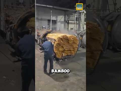How the Chinese turn bamboo into mats. #bamboo #shorts