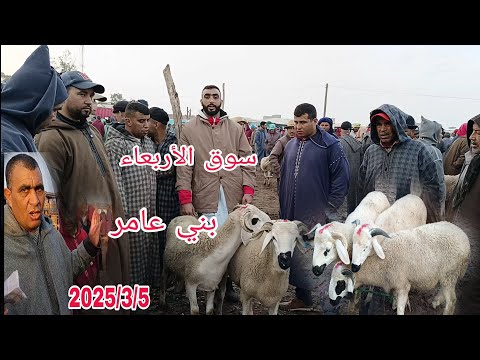 أجي تشوف معايا سوق الأربعاء بني عامر باقليم قلعة السراغنة بتاريخ 2025/3/5 مع أتمنة خروف وخروفة