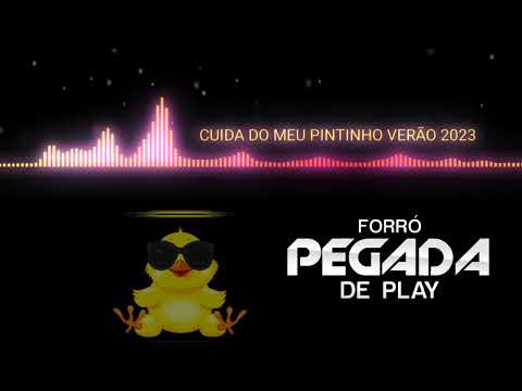 Sucesso Do Forró Pegada De Play Música Do Carnaval - CUIDA DO MEU PINTINHO - Verão 2023