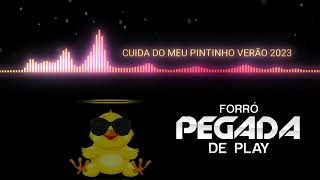 Sucesso Do Forró Pegada De Play Música Do Carnaval - CUIDA DO MEU PINTINHO - Verão 2023
