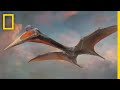 Pterosaurs: Masters of the Mesozoic Skies